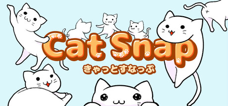 Cat Snap cover