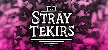 Stray Tekirs cover