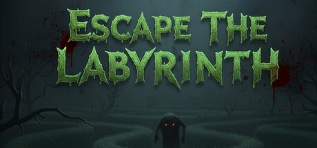 Escape The Labyrinth cover