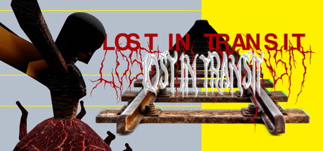 LOST IN TRANSIT cover